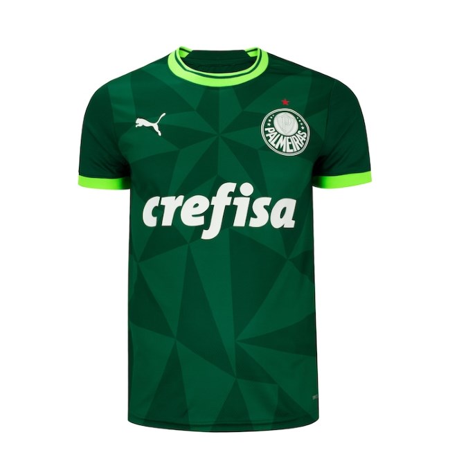 Camiseta Palmeiras Puma Torcedor Masculina 23