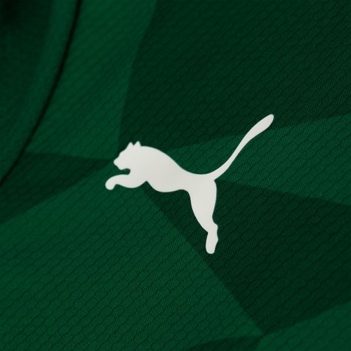 Camiseta Palmeiras Puma Torcedor Masculina 23