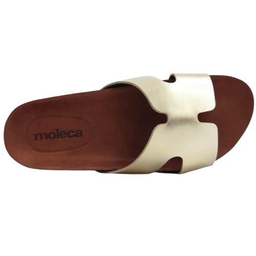 Papete Moleca Tratorada H Birken Feminina